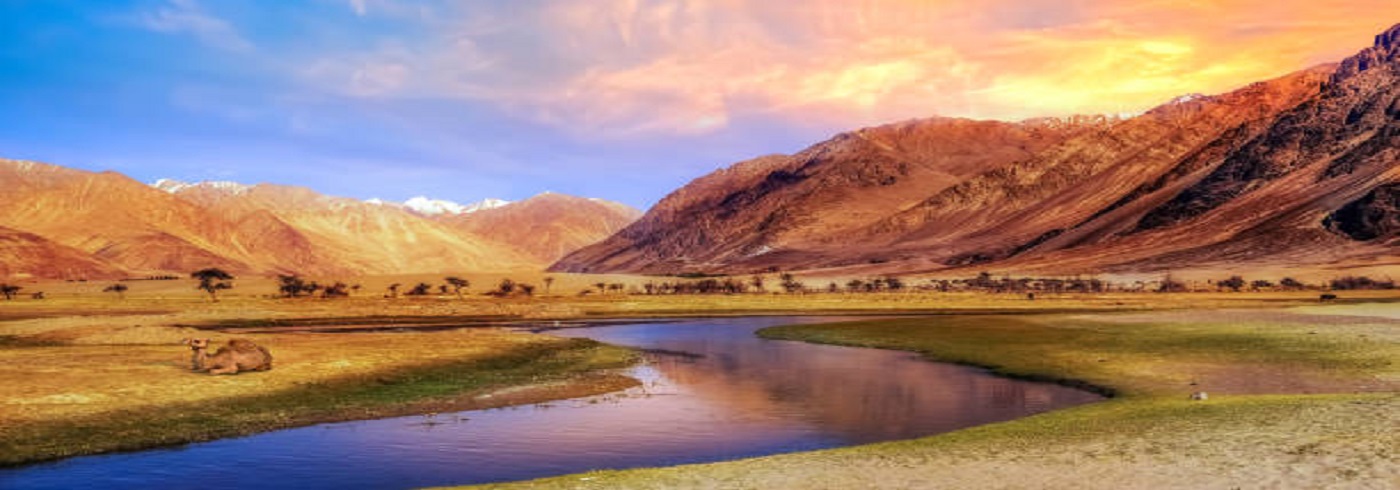 Scenic sunrise at Nubra valley Ladakh with view of mountain landscape and Bactrian camel.